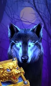 Book Of The Night Wolf